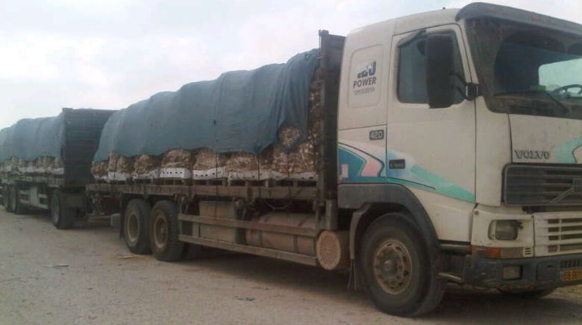 Des centaines de camions transportant de l'aide arrivent dans le nord de Gaza