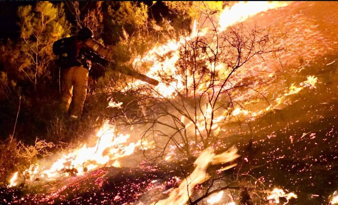 Une délégation d’aide israélienne se rend à Los Angeles pour soutenir les efforts de récupération après les incendies de forêt